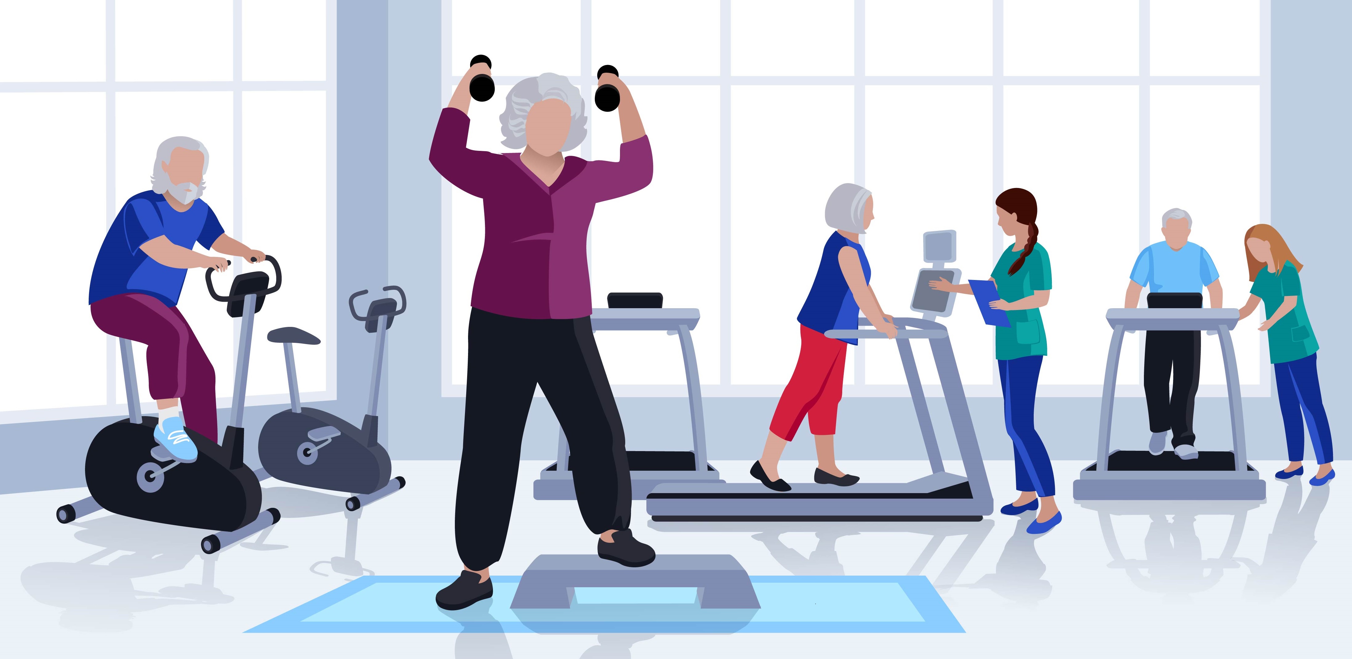 Physical Therapy Rehabilitation